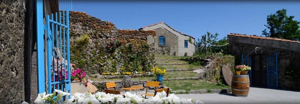 Il Tanaceto Hotel Castiglione De Sicilia Ngoại thất bức ảnh